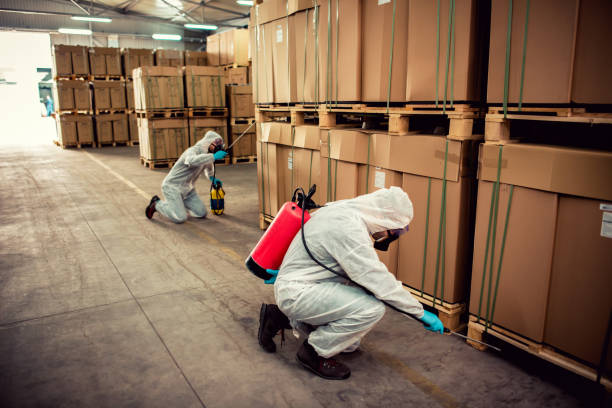 Reliable Mapleton, MN Pest Control Solutions