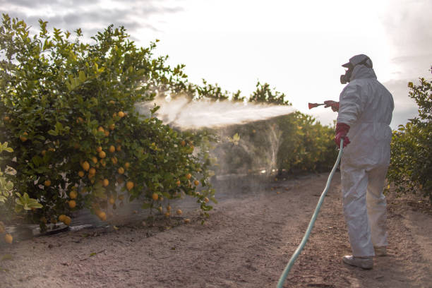 Best Exterminator Services  in Mapleton, MN