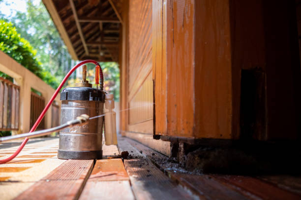 Best Pest Removal Services  in Mapleton, MN