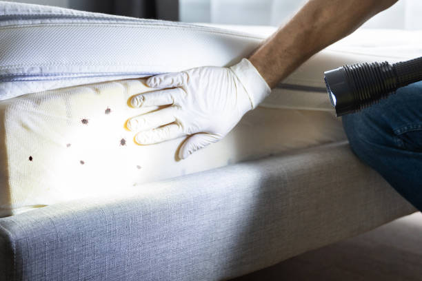 Best Pest Control Near Me  in Mapleton, MN