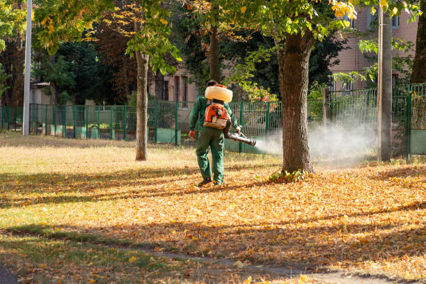 Wasp Removal Services in Mapleton, MN